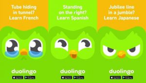 Phần mềm Duolingo